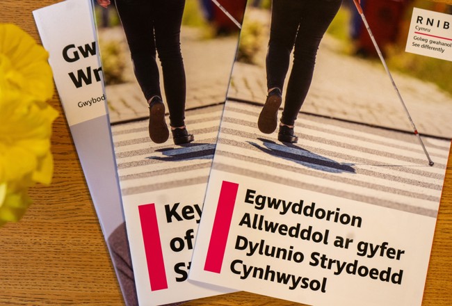 Cynllun iaith RNIB
