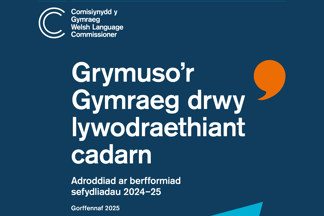 Clawr yr adroddiad
